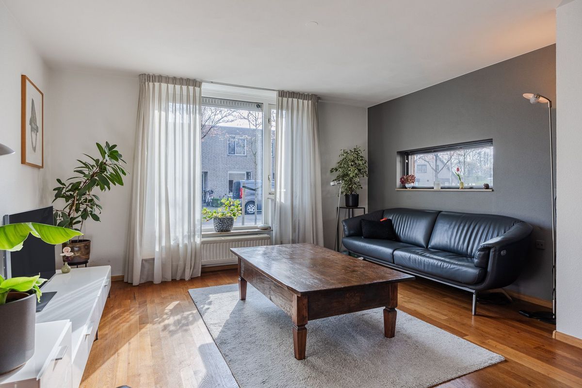 Regenwulp 13 Photo Blur 4