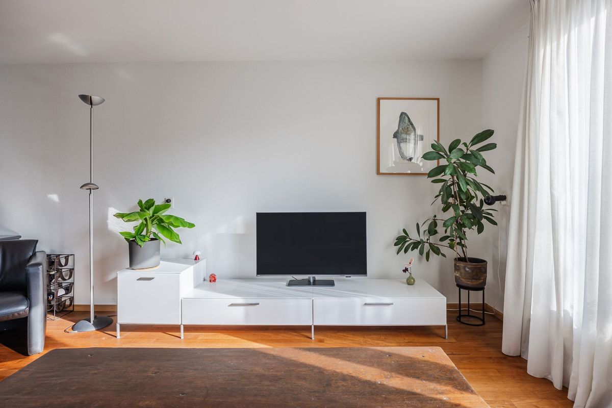 Regenwulp 13 Photo Blur 5