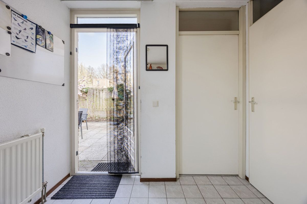 Regenwulp 13 Photo Blur 16