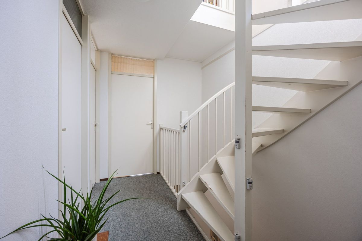 Regenwulp 13 Photo Blur 19