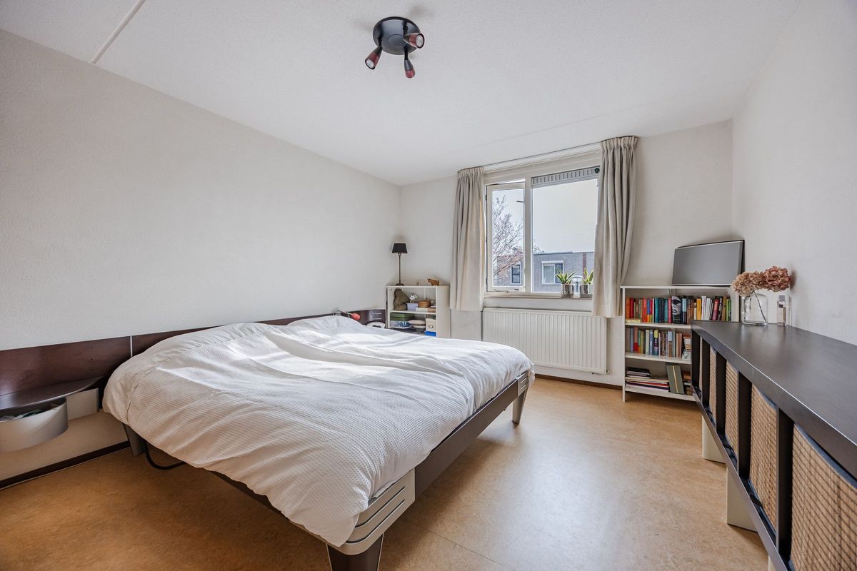 Regenwulp 13 Photo Blur 20