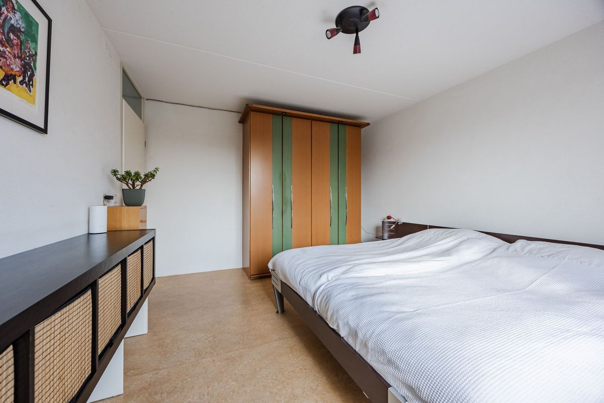 Regenwulp 13 Photo Blur 21