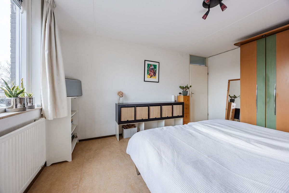 Regenwulp 13 Photo Blur 22