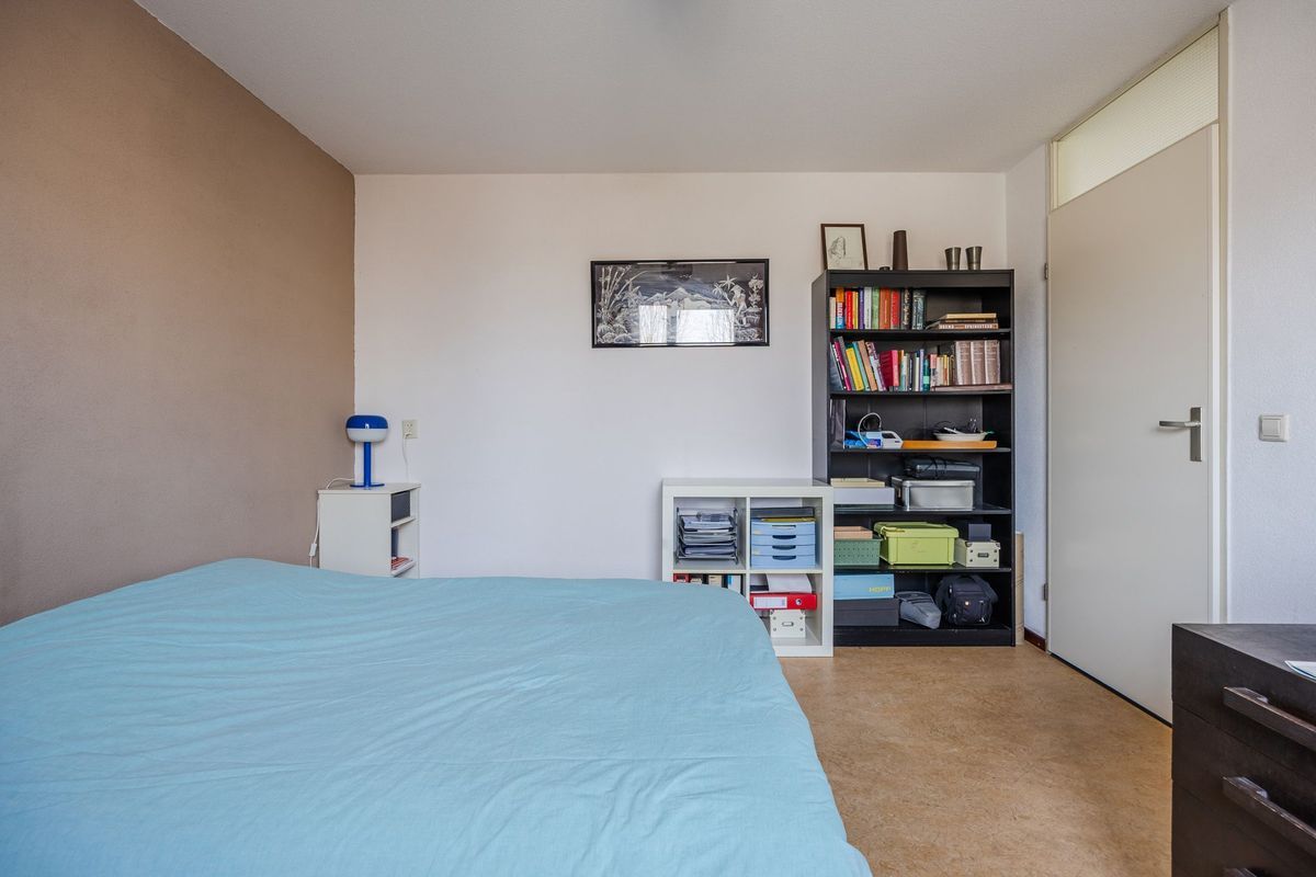 Regenwulp 13 Photo Blur 25