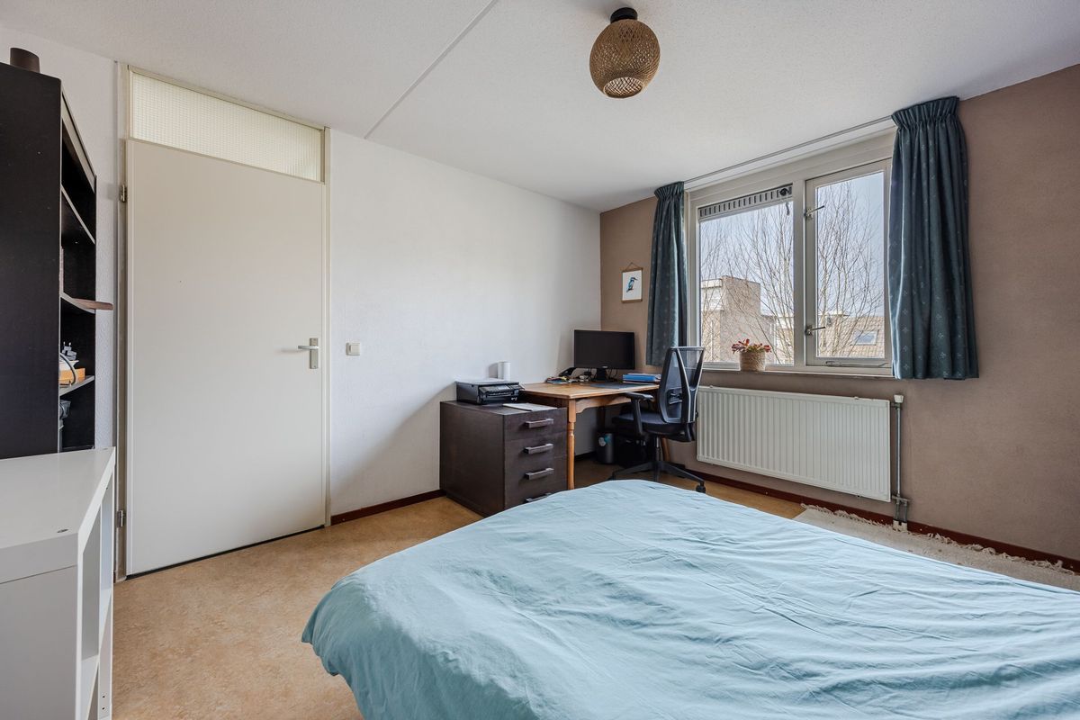 Regenwulp 13 Photo Blur 24