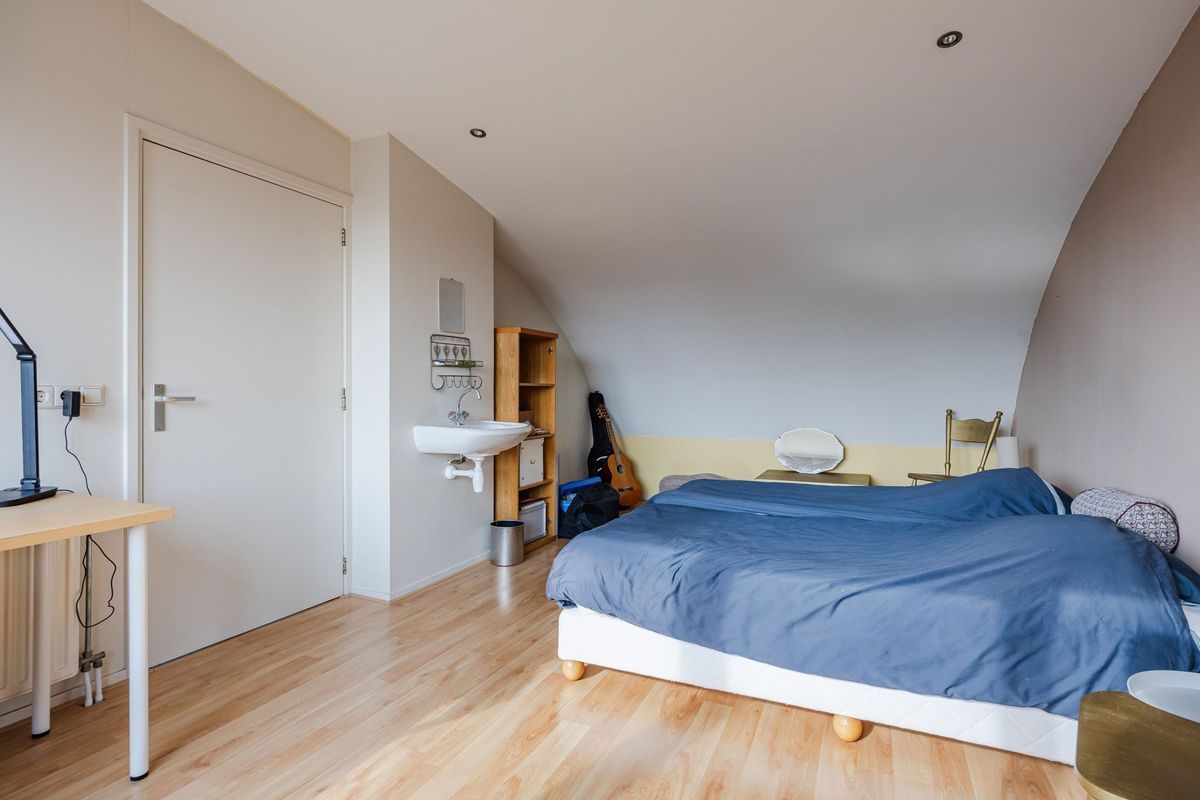 Regenwulp 13 Photo Blur 35