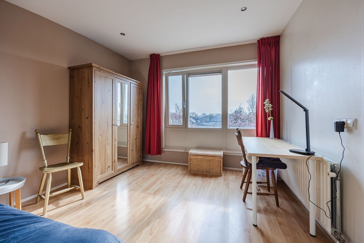 Regenwulp 13 Photo Blur 37