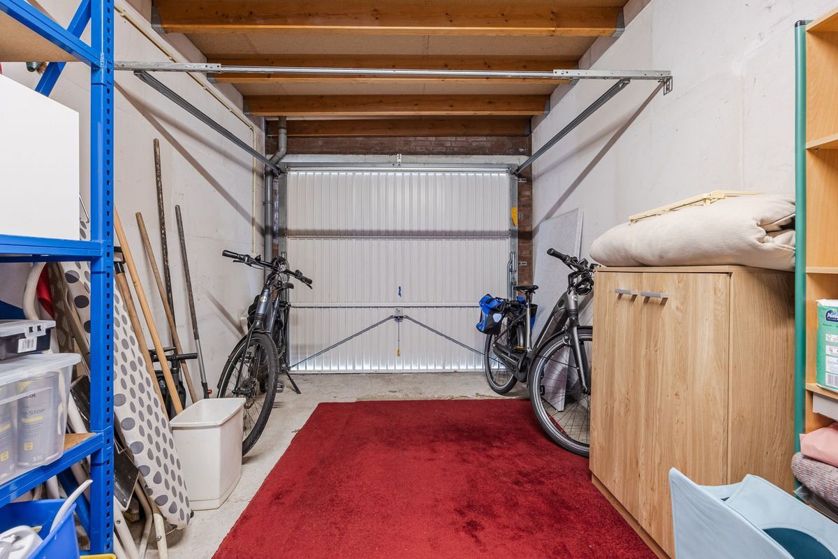 Regenwulp 13 Photo Blur 38