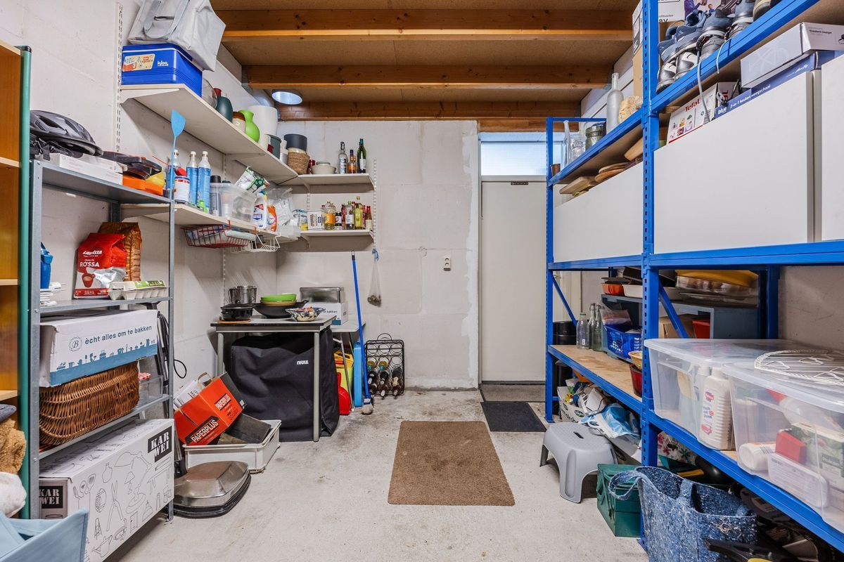 Regenwulp 13 Photo Blur 39