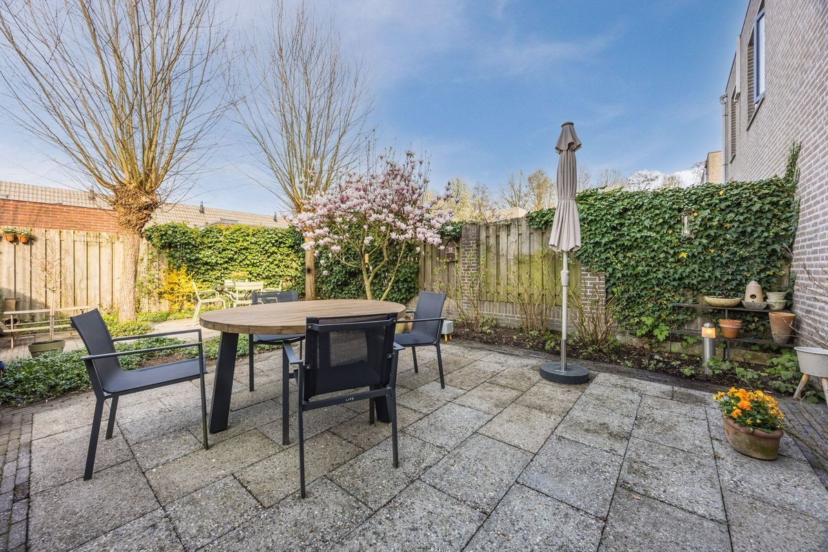 Regenwulp 13 Photo Blur 40