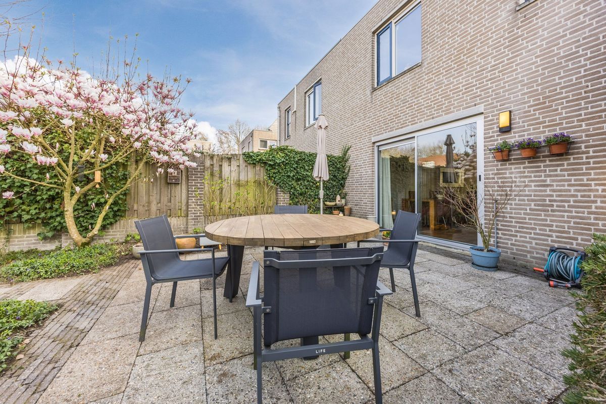 Regenwulp 13 Photo Blur 43