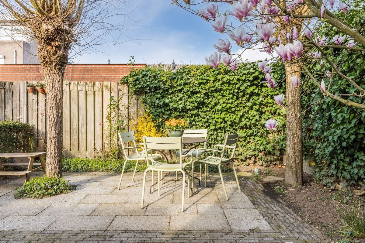 Regenwulp 13 Photo Blur 44