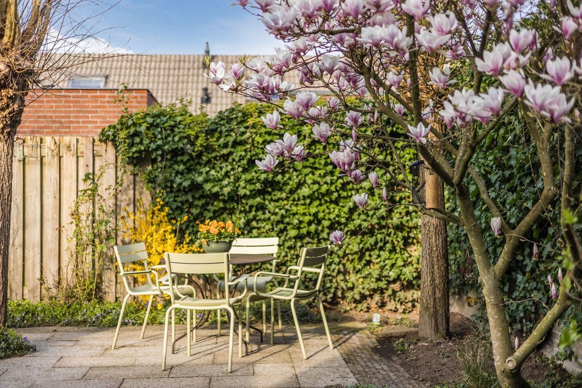 Regenwulp 13 Photo Blur 45