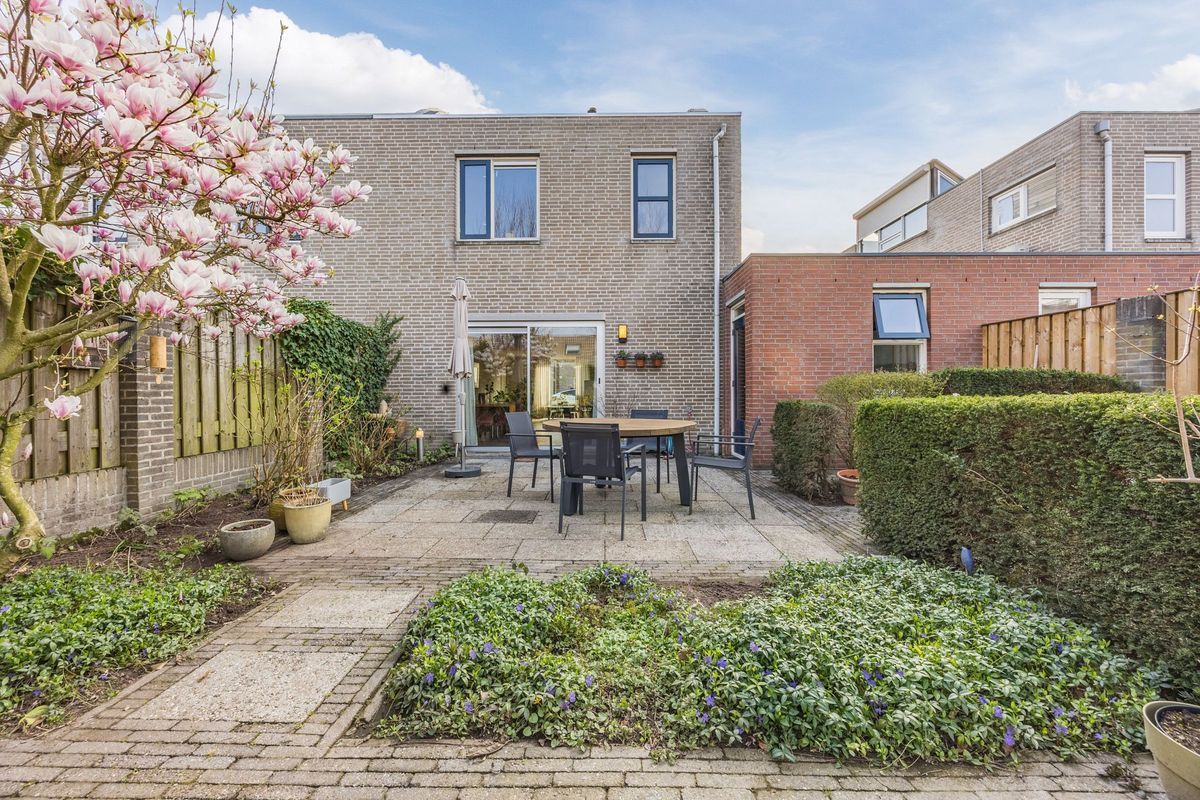 Regenwulp 13 Photo Blur 47