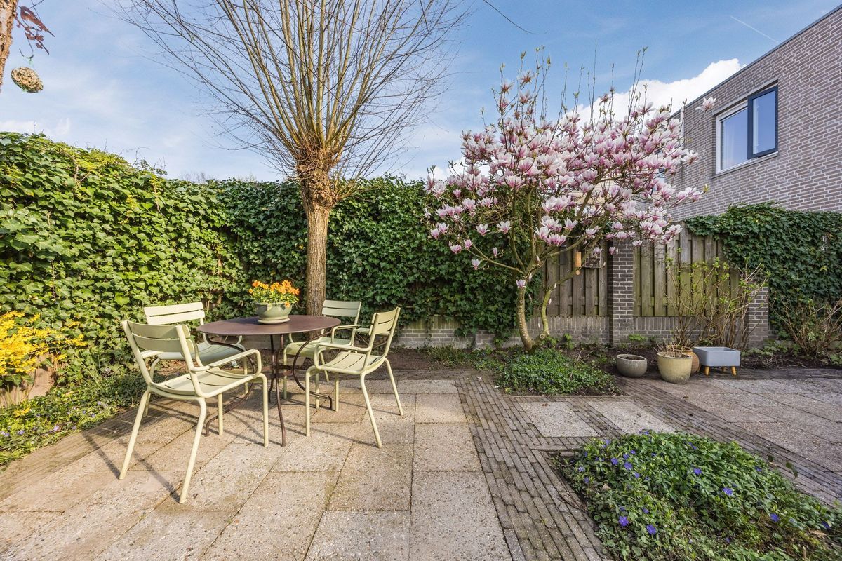 Regenwulp 13 Photo Blur 46