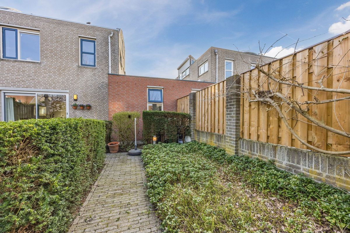 Regenwulp 13 Photo Blur 48