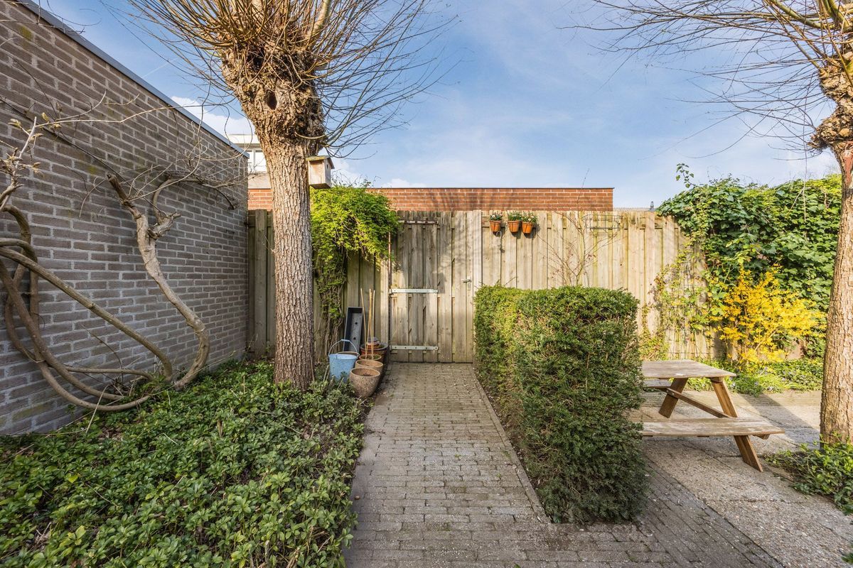 Regenwulp 13 Photo Blur 49