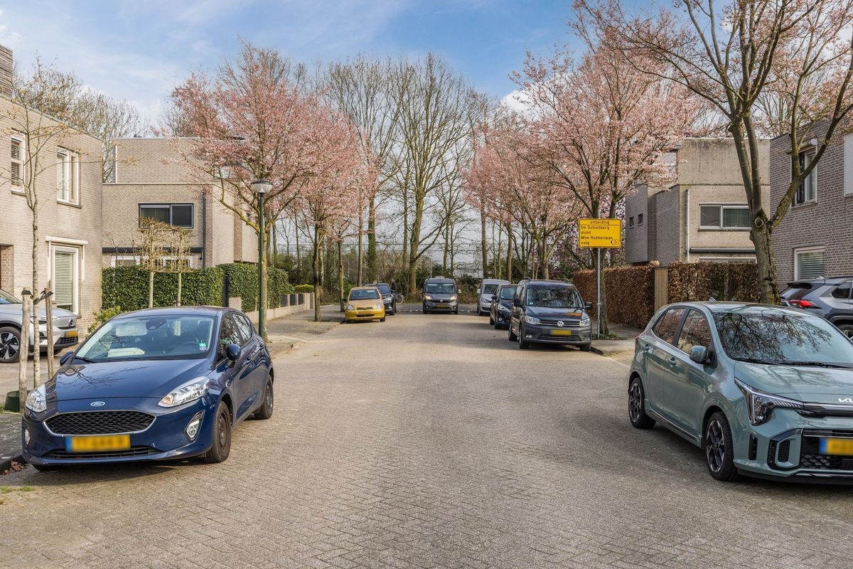 Regenwulp 13 Photo Blur 50