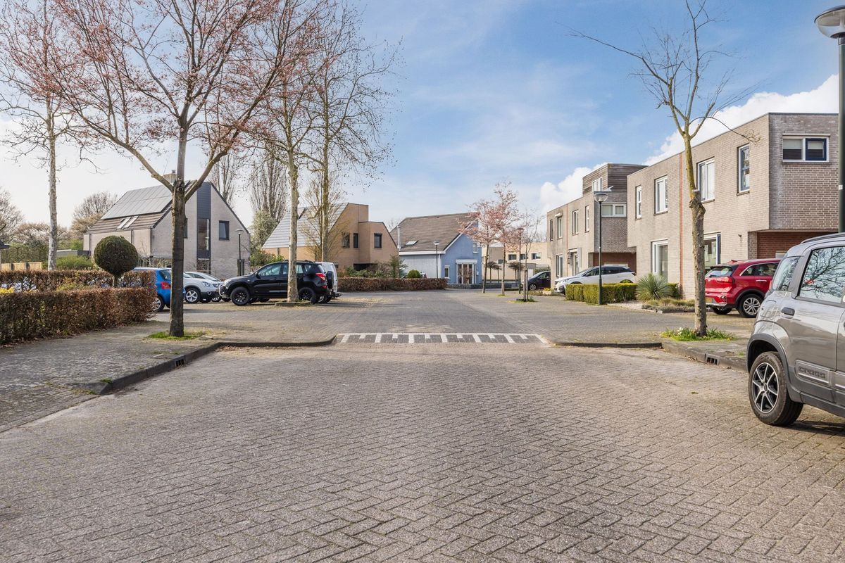 Regenwulp 13 Photo Blur 51