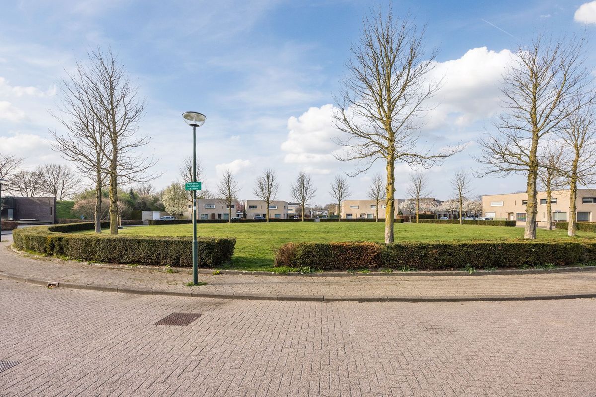 Regenwulp 13 Photo Blur 53