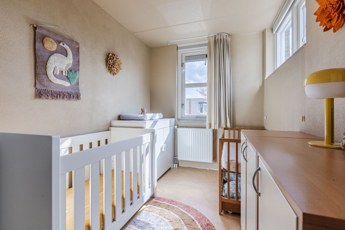 Regenwulp 13 Photo Blur 25