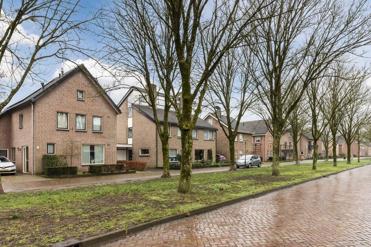 Meester Schrauwenstraat 7 Photo Blur 34