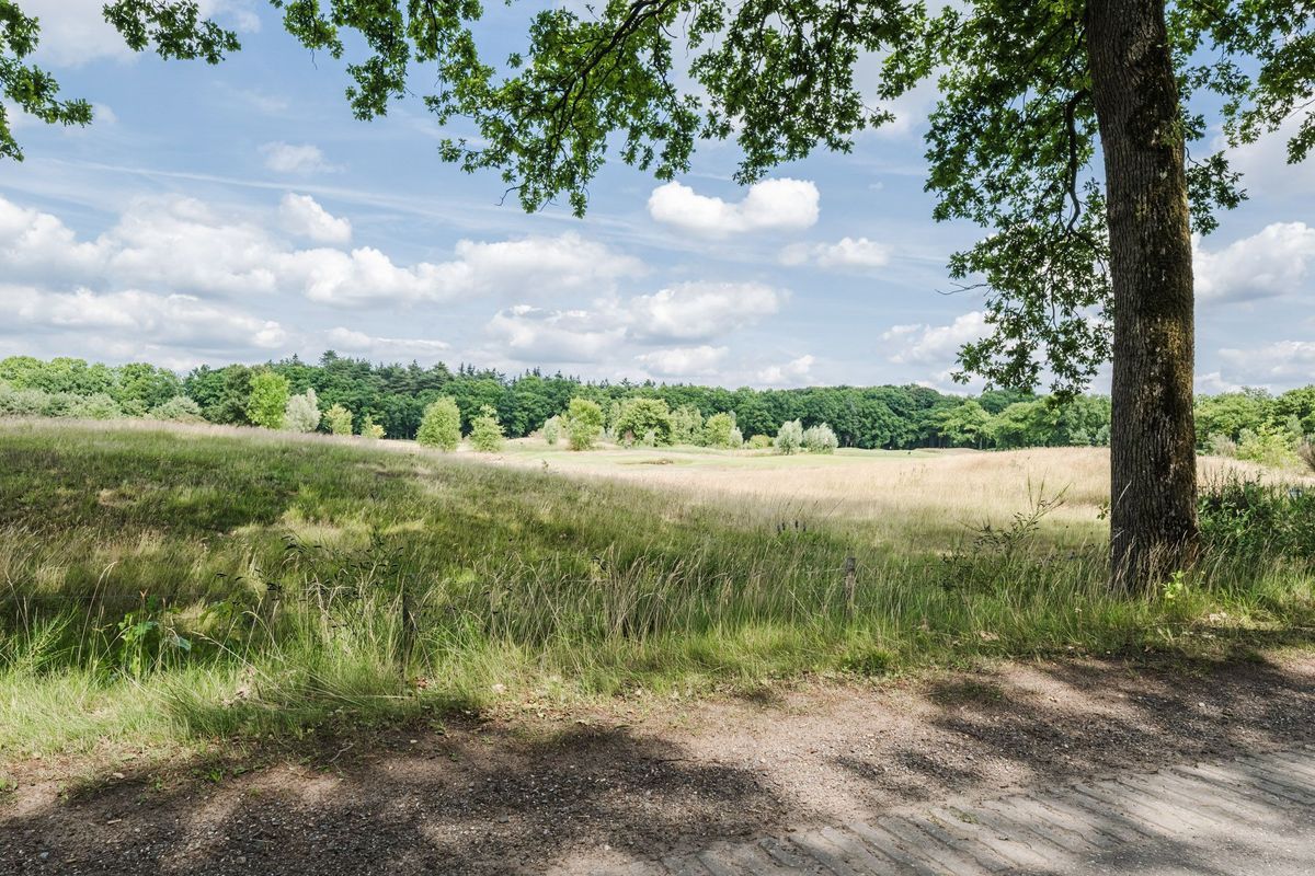 Type B5 Photo Blur 2