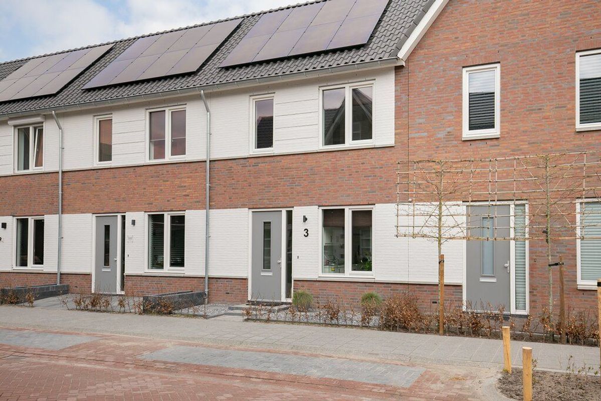 Koekoeksbloem 3 Photo Blur 5