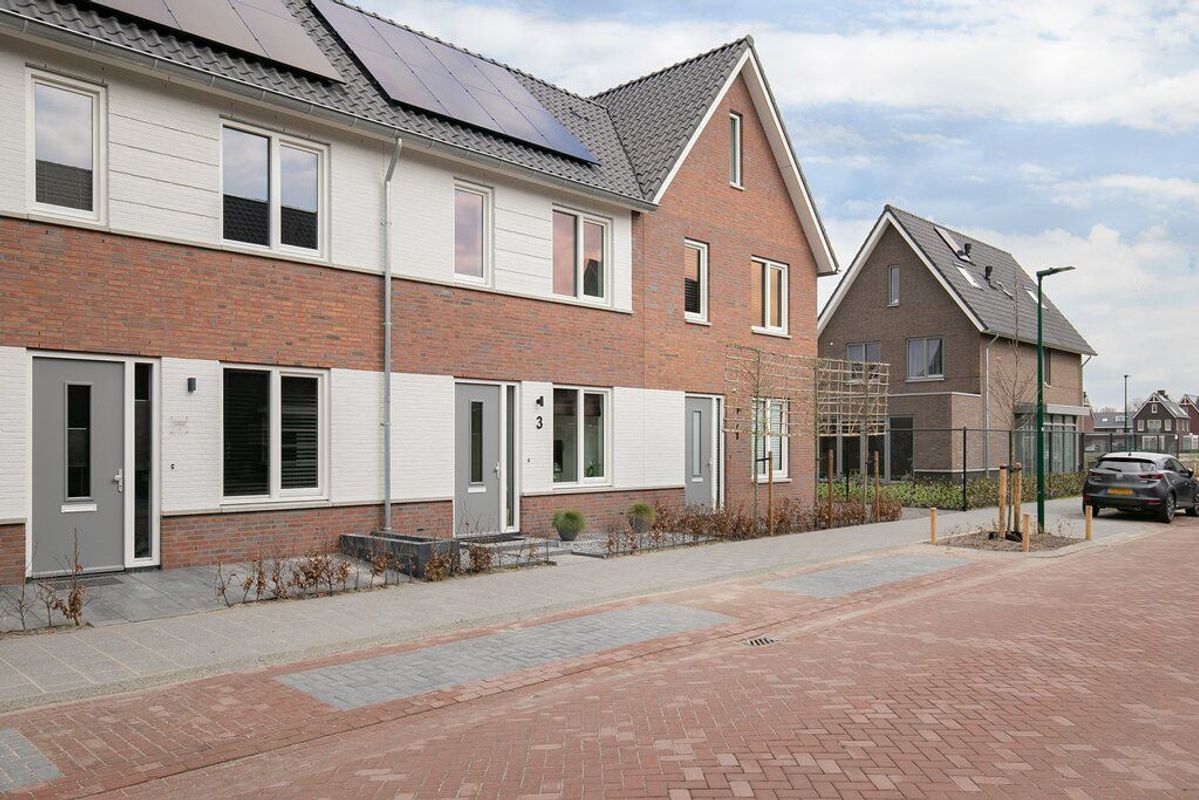 Koekoeksbloem 3 Photo Blur 34