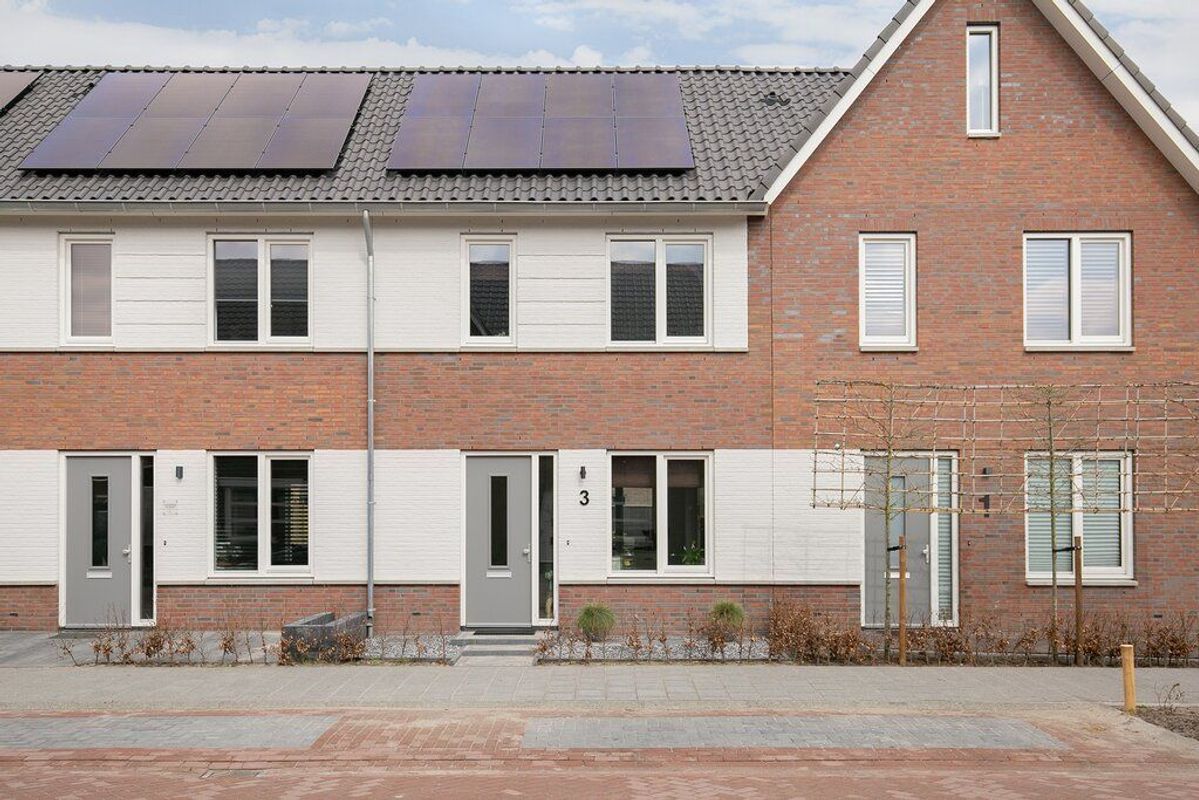 Koekoeksbloem 3 Photo Blur 0