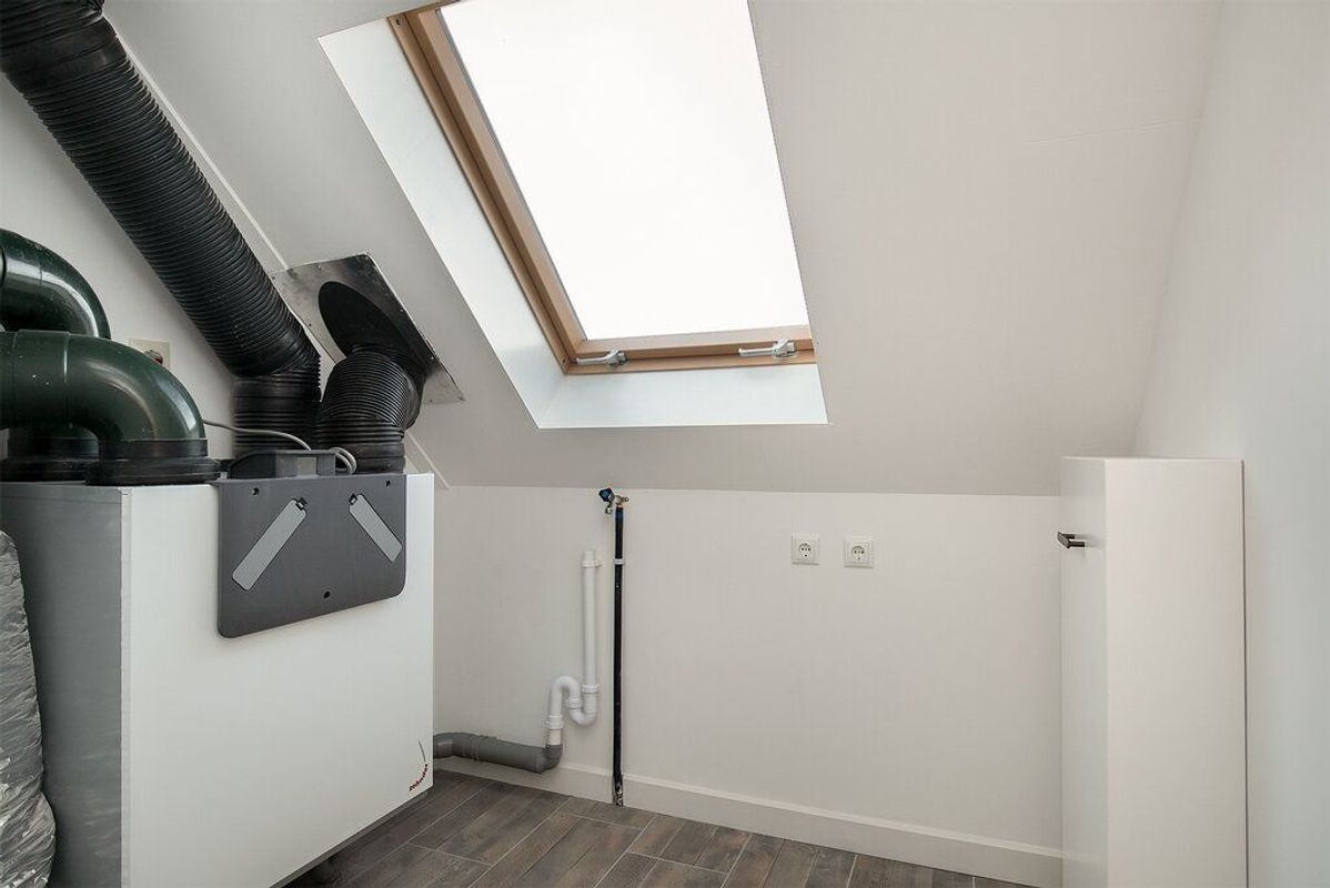 Koekoeksbloem 3 Photo Blur 31