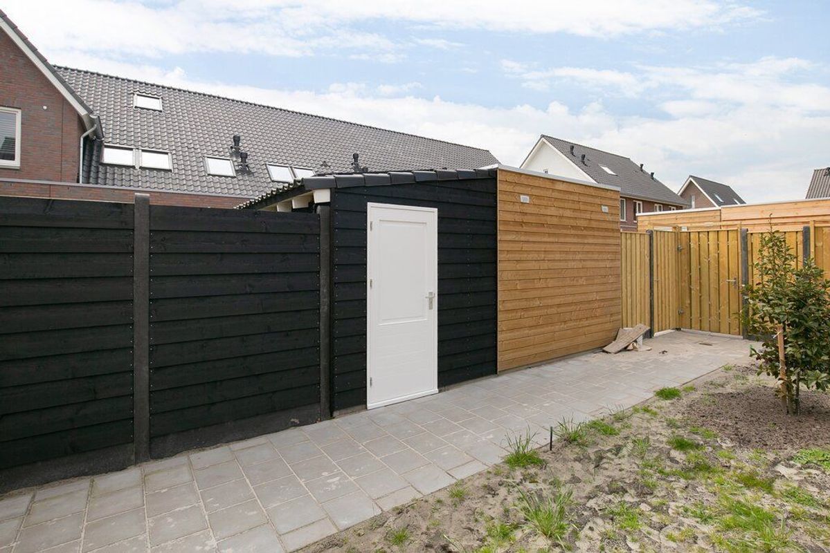 Koekoeksbloem 3 Photo Blur 20