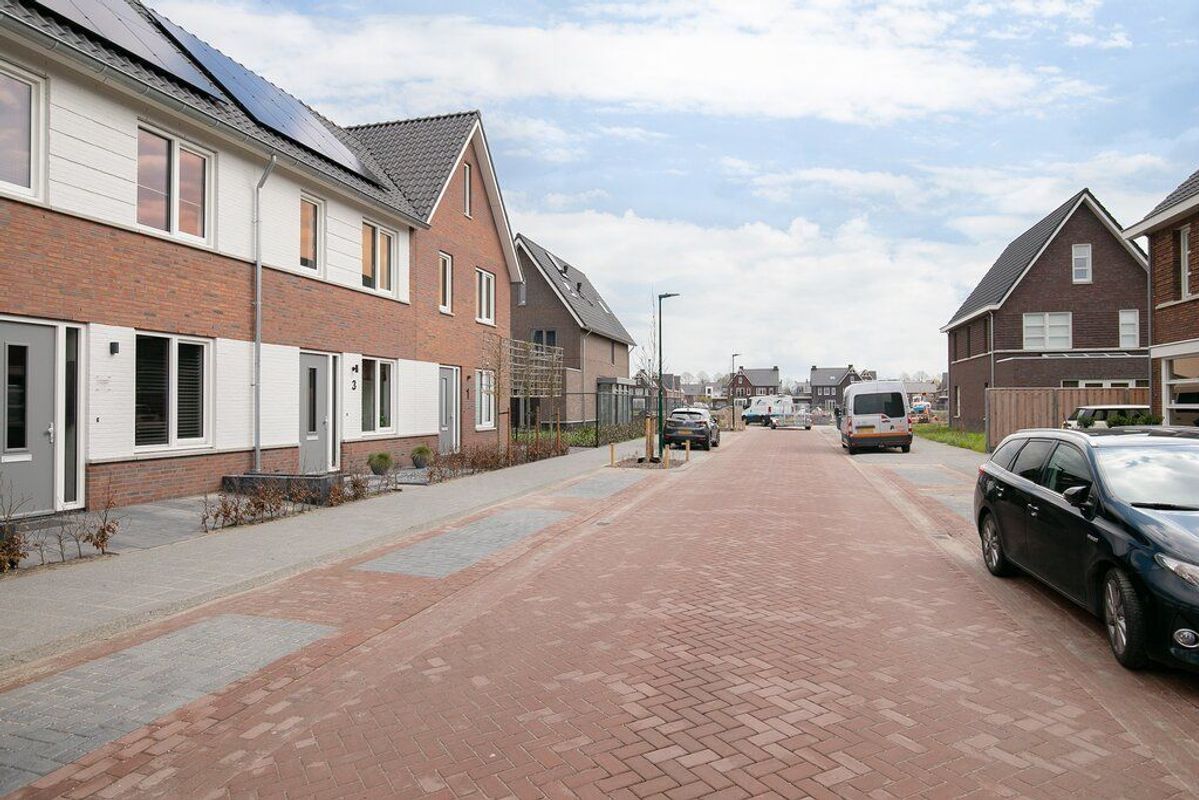 Koekoeksbloem 3 Photo Blur 35