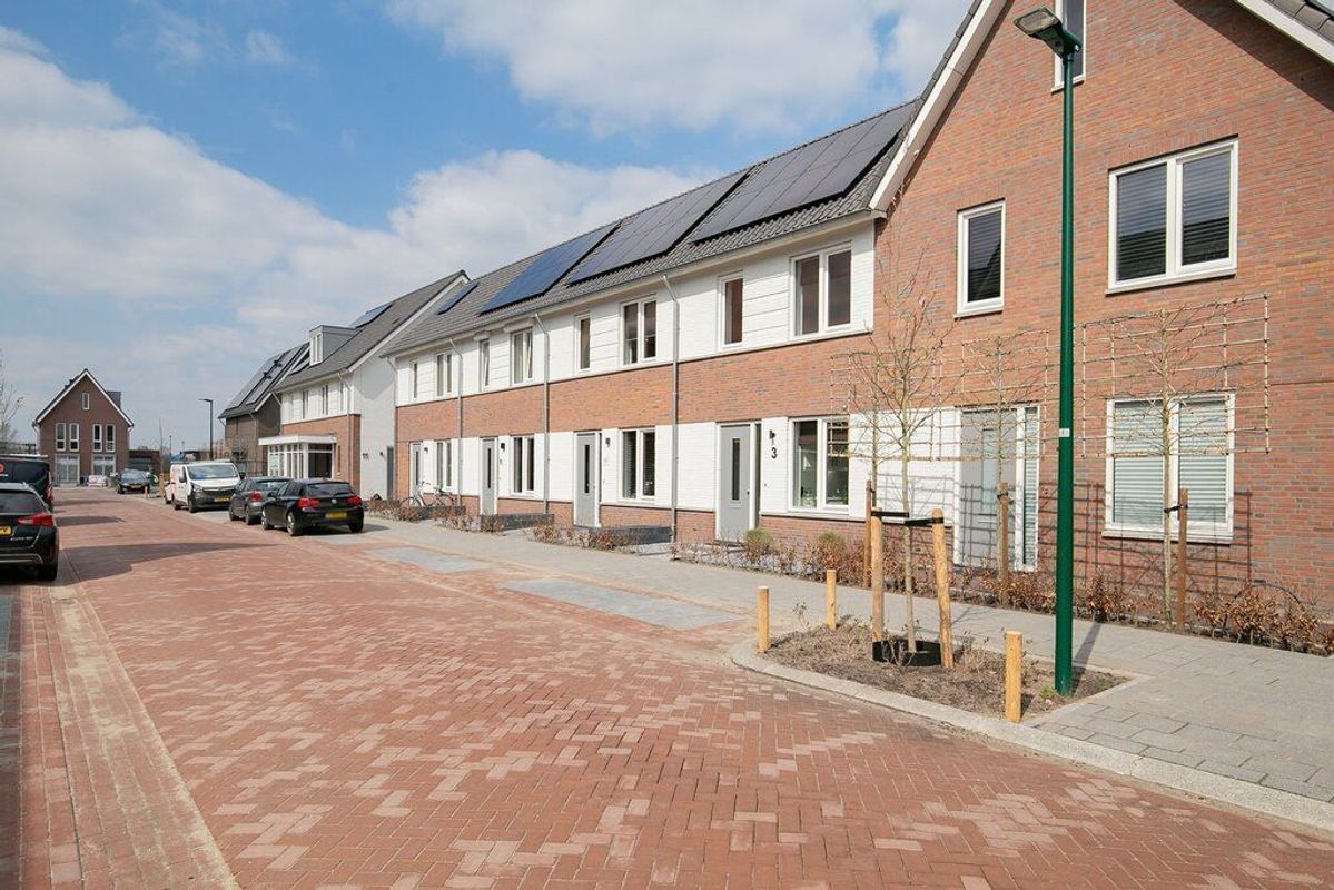 Koekoeksbloem 3 Photo Blur 36