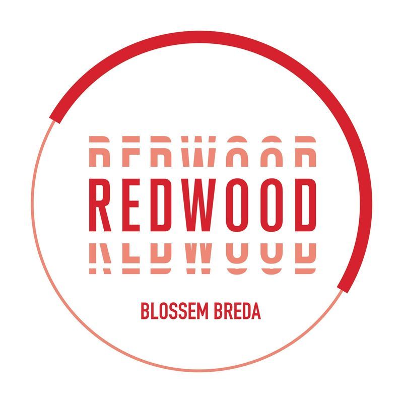 Duizendblad 10 Photo Blur 21