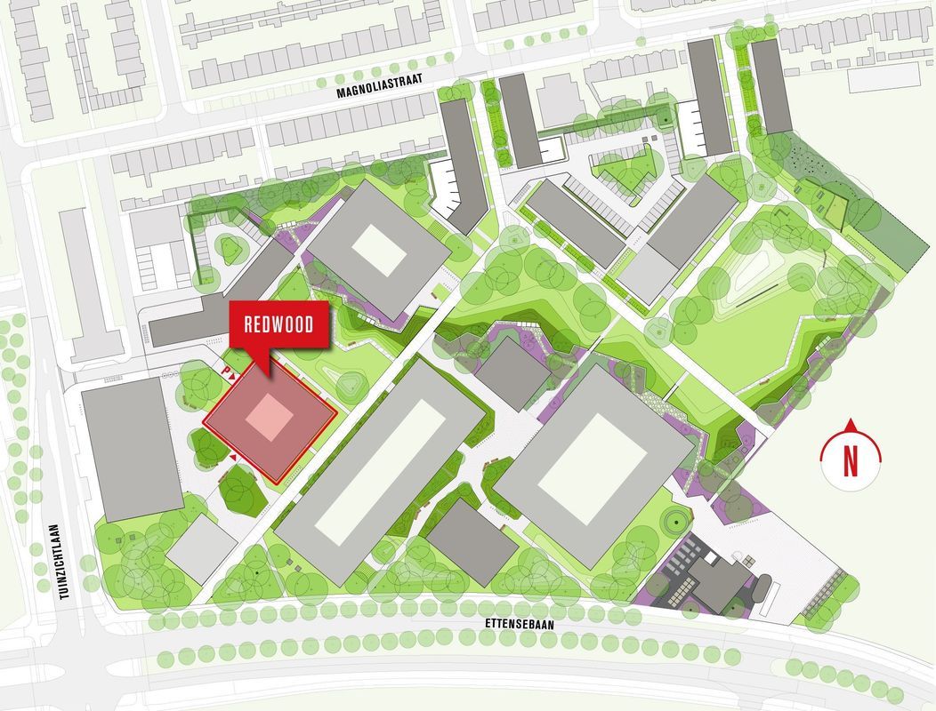 Duizendblad 10 Photo Blur 6