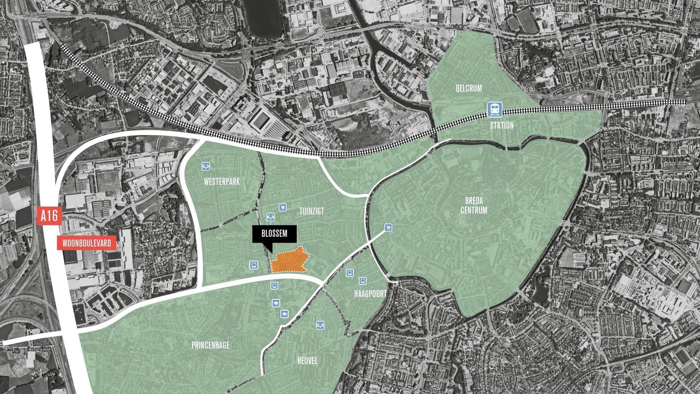 Duizendblad 10 Photo Blur 9