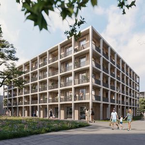 Duizendblad 10 Photo 4