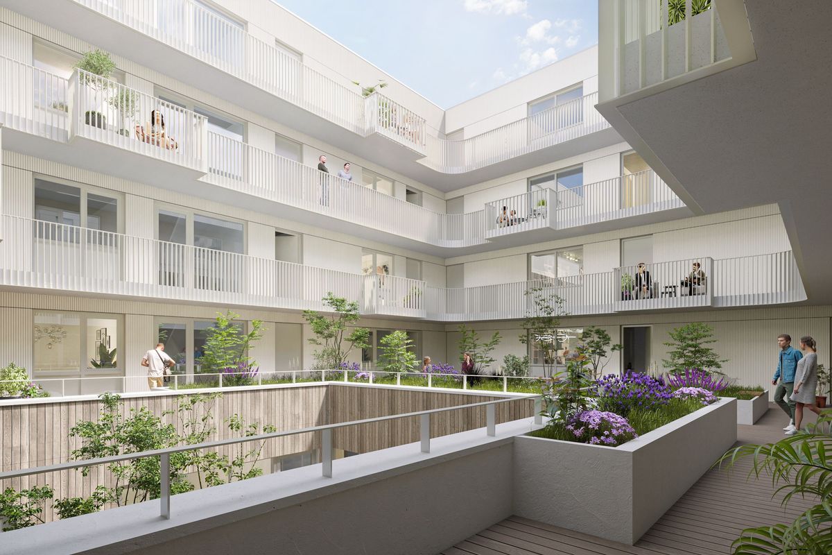 Duizendblad 10 Photo Blur 5