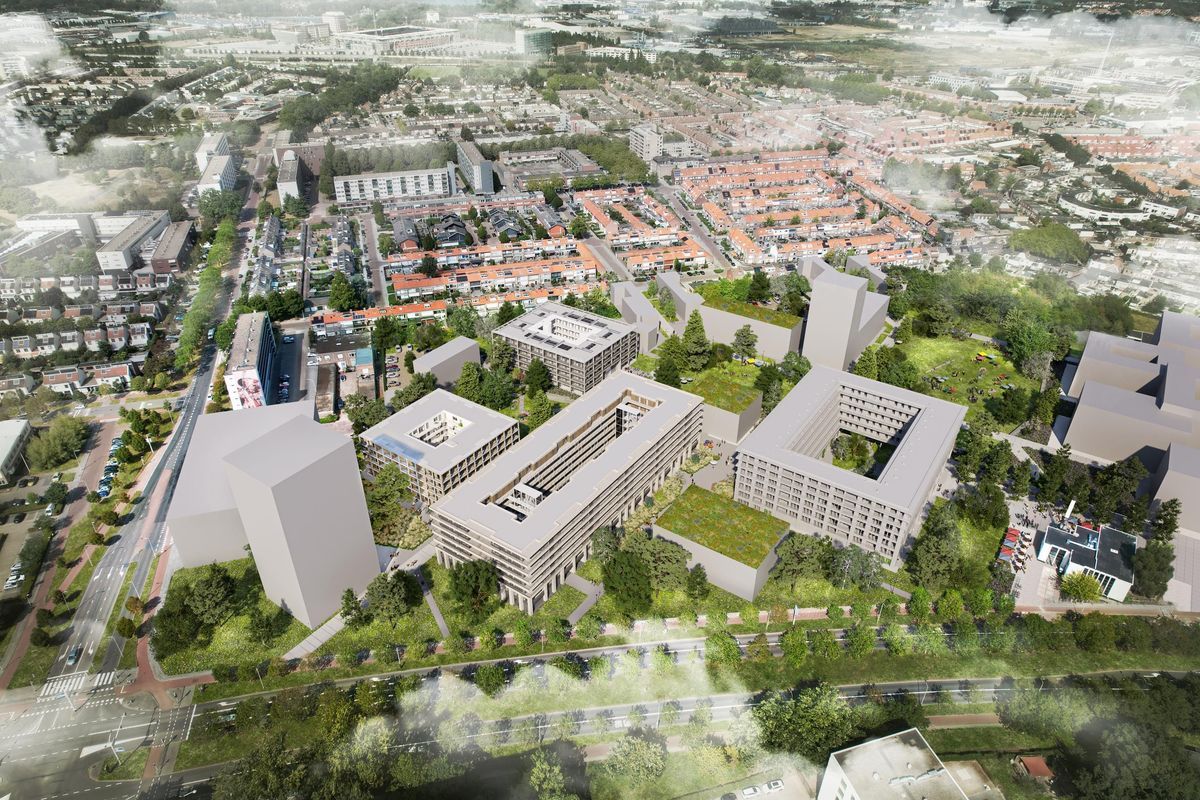 Duizendblad 10 Photo Blur 2