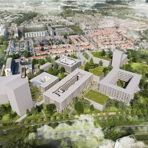 Duizendblad 10 Photo 2