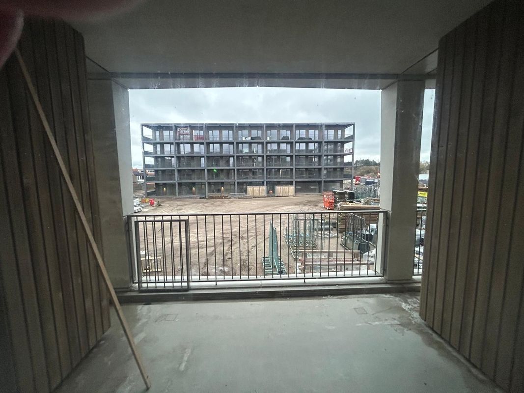 Duizendblad 10 Photo Blur 15