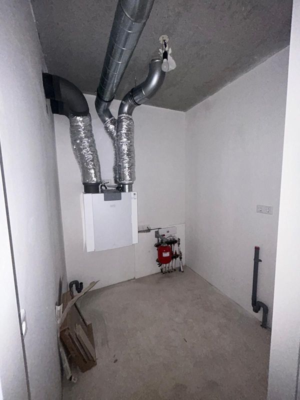 Duizendblad 10 Photo Blur 16