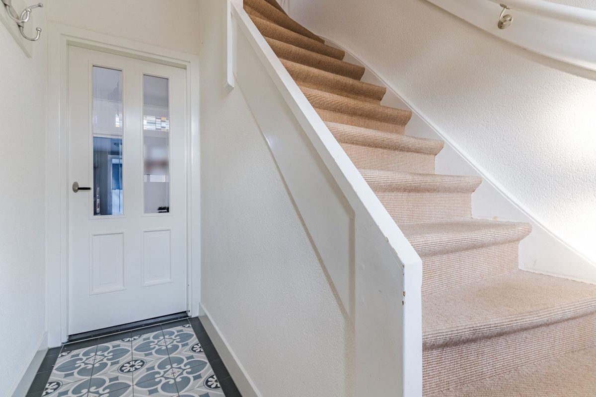 Hulst 55 Photo Blur 12