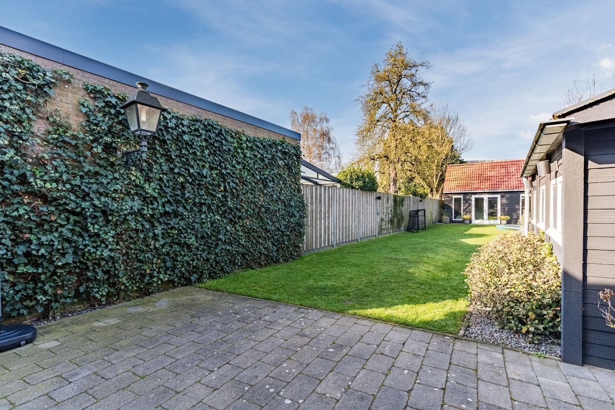 Hulst 55 Photo Blur 50