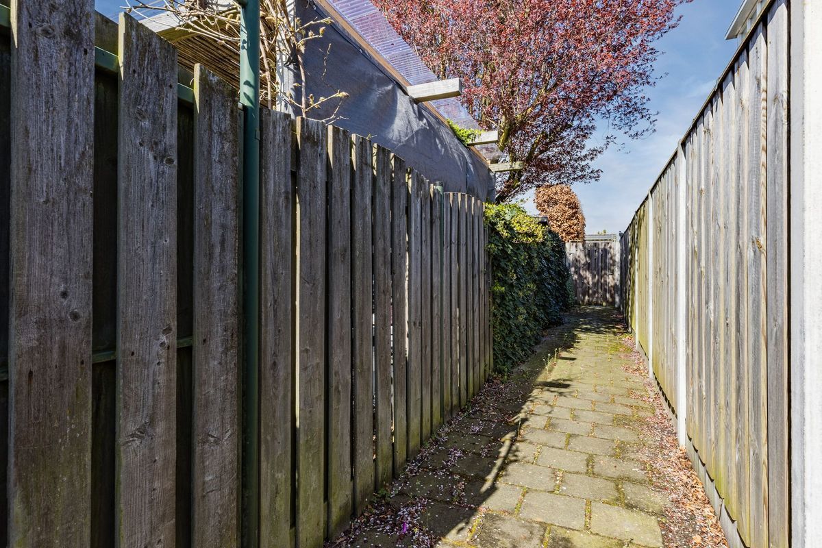 Marga Klompélaan 33 Photo Blur 36