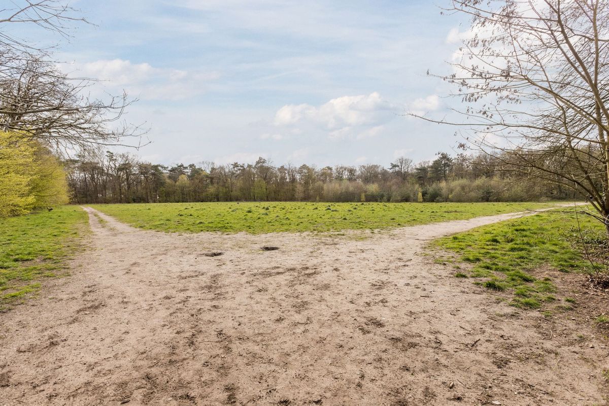 Middenweg 2 Photo Blur 38