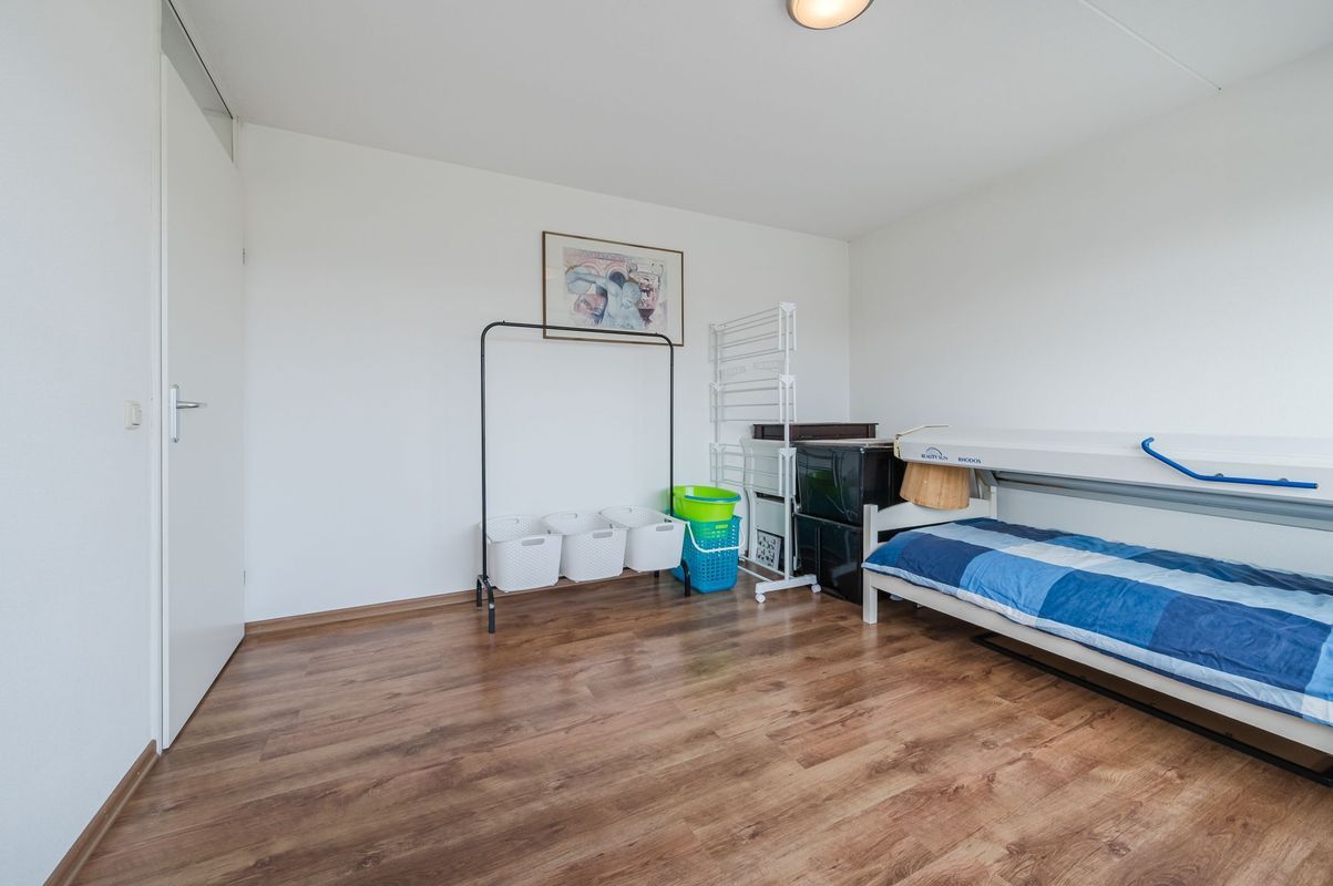 Fangorn 16 Photo Blur 36