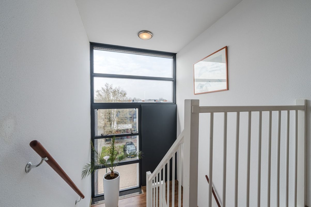 Fangorn 16 Photo Blur 40