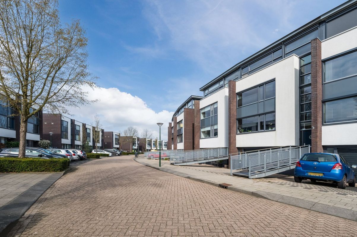 Fangorn 16 Photo Blur 52